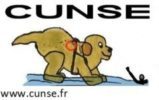 C.U.N.S.E Logo